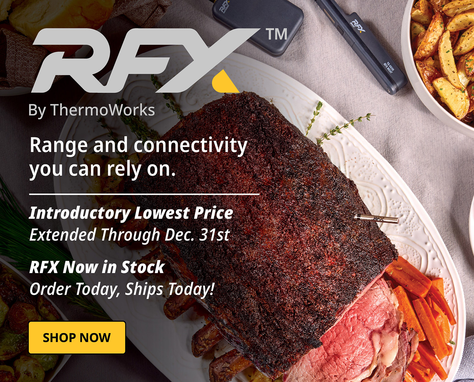 Introducing RFX Wireless Thermometer