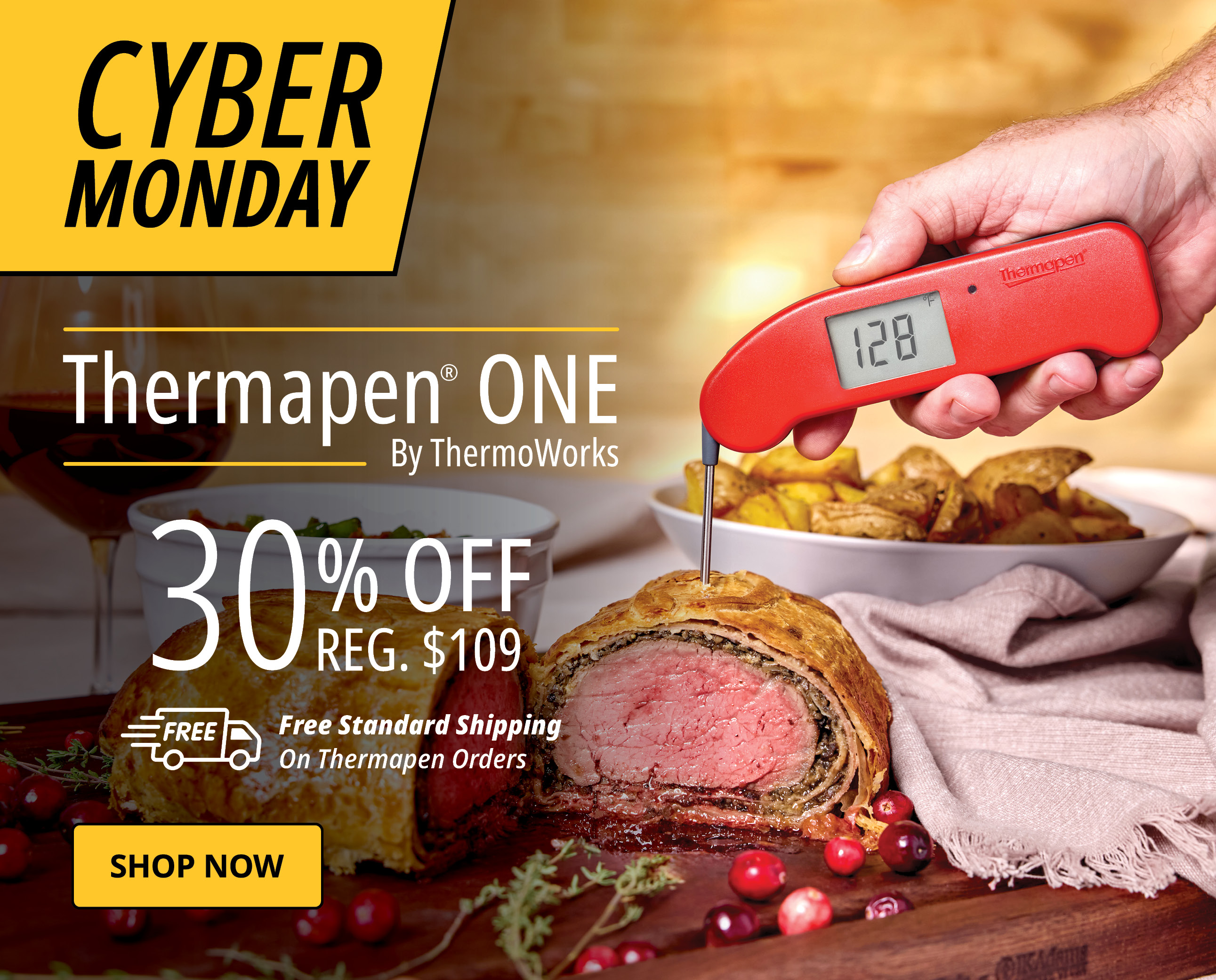 Thermapen ONE