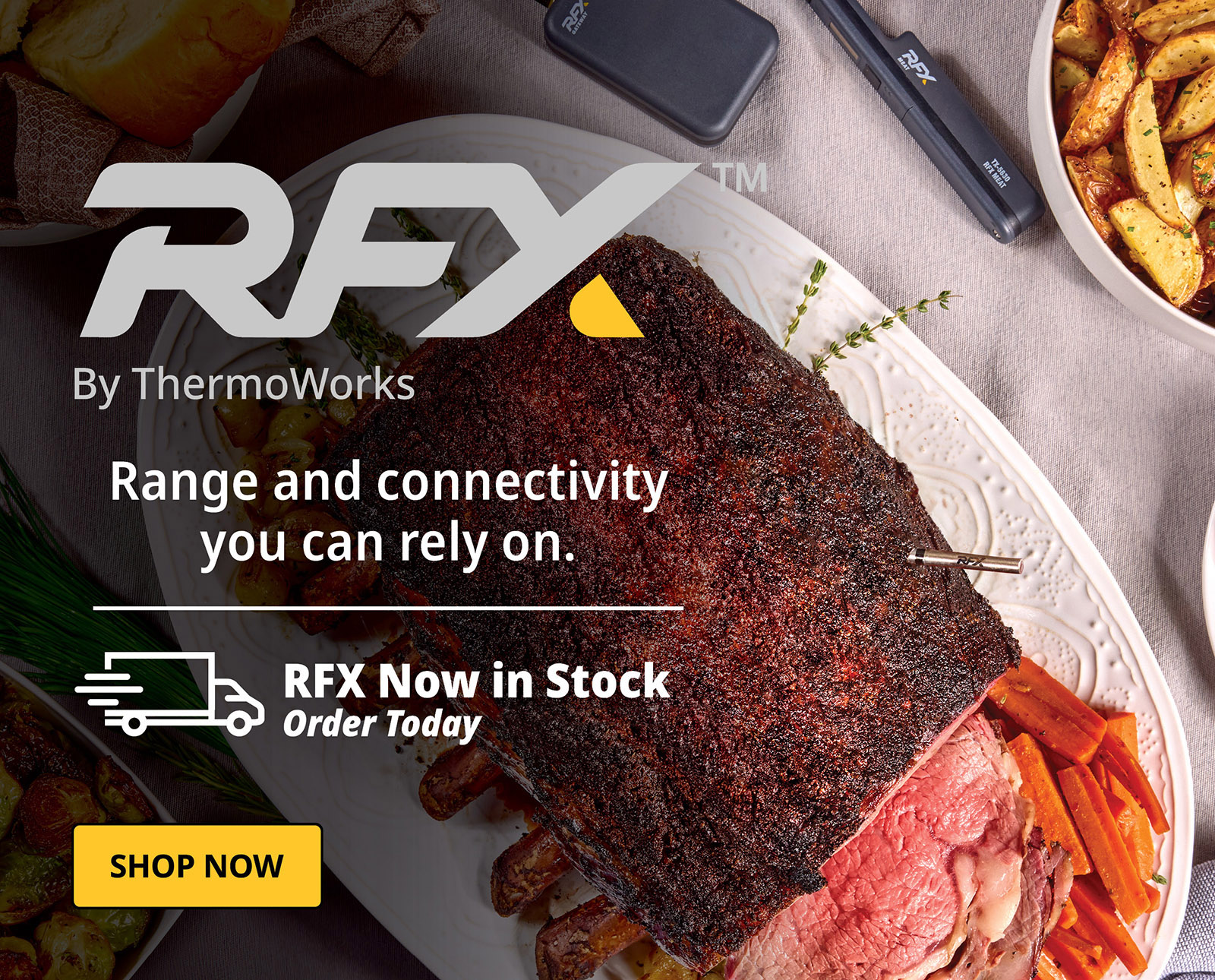 Introducing RFX Wireless Thermometer