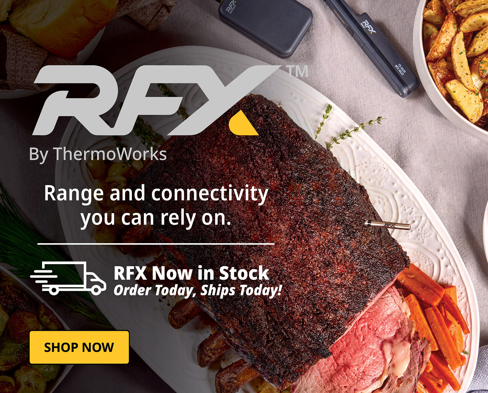 Introducing RFX Wireless Thermometer