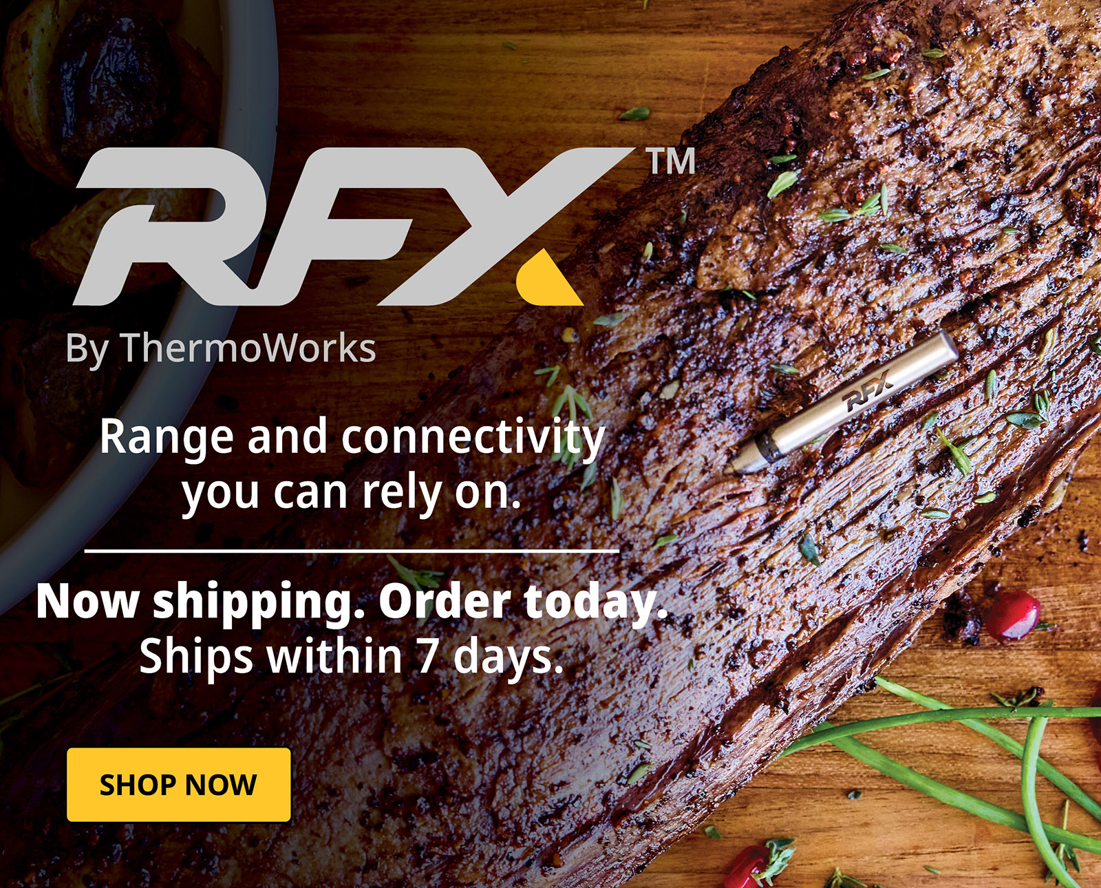 Introducing RFX Wireless Thermometer