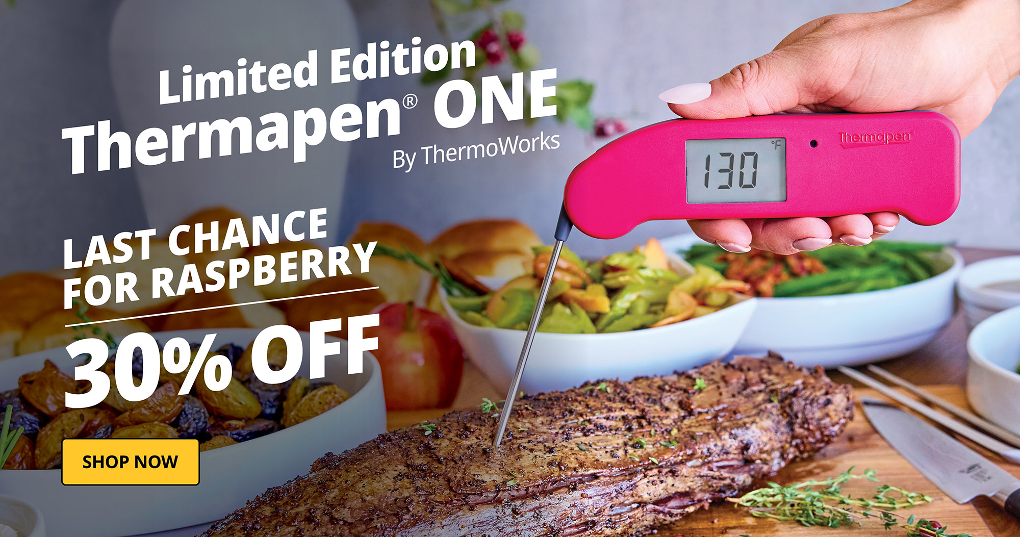 Thermapen ONE