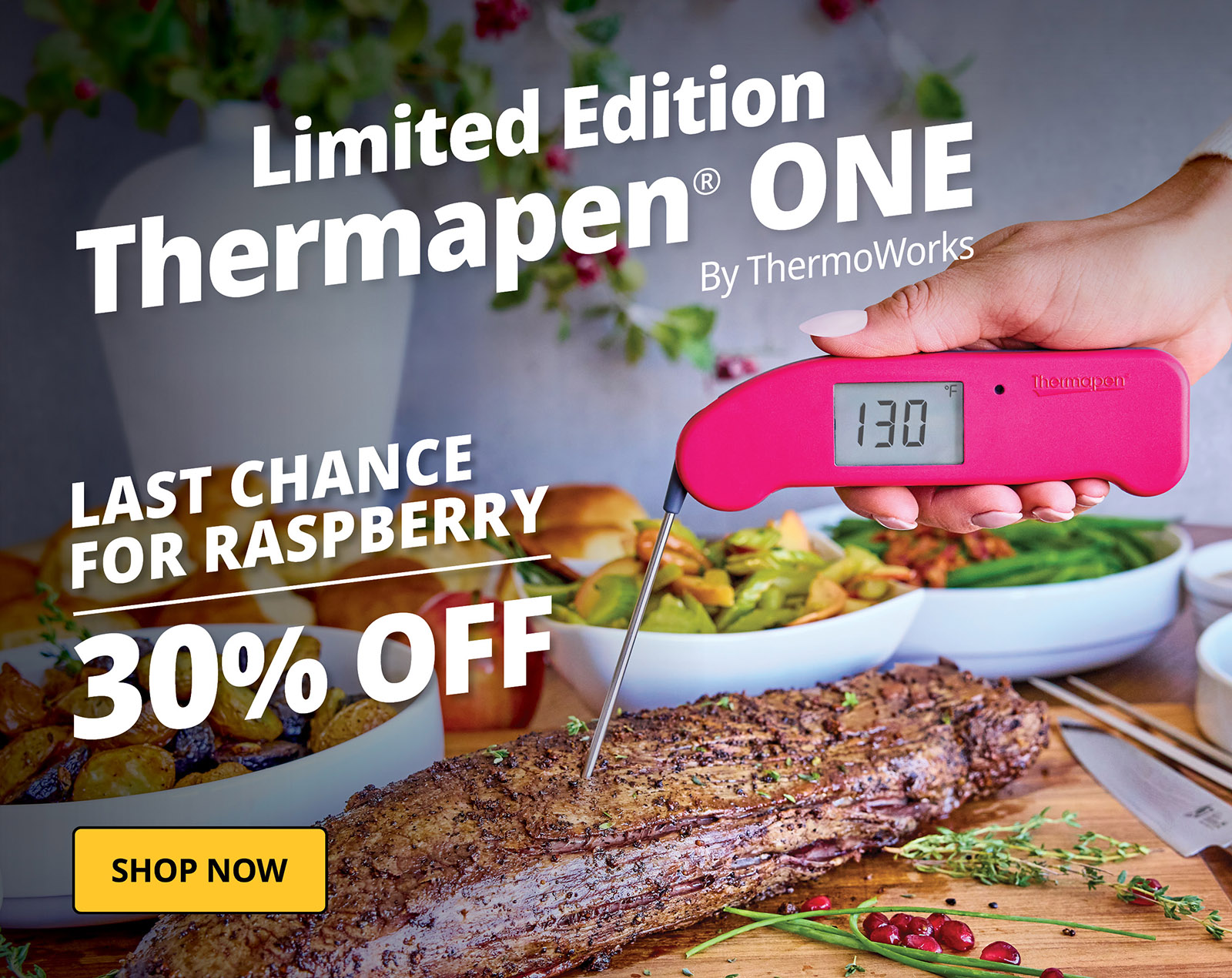 Thermapen ONE