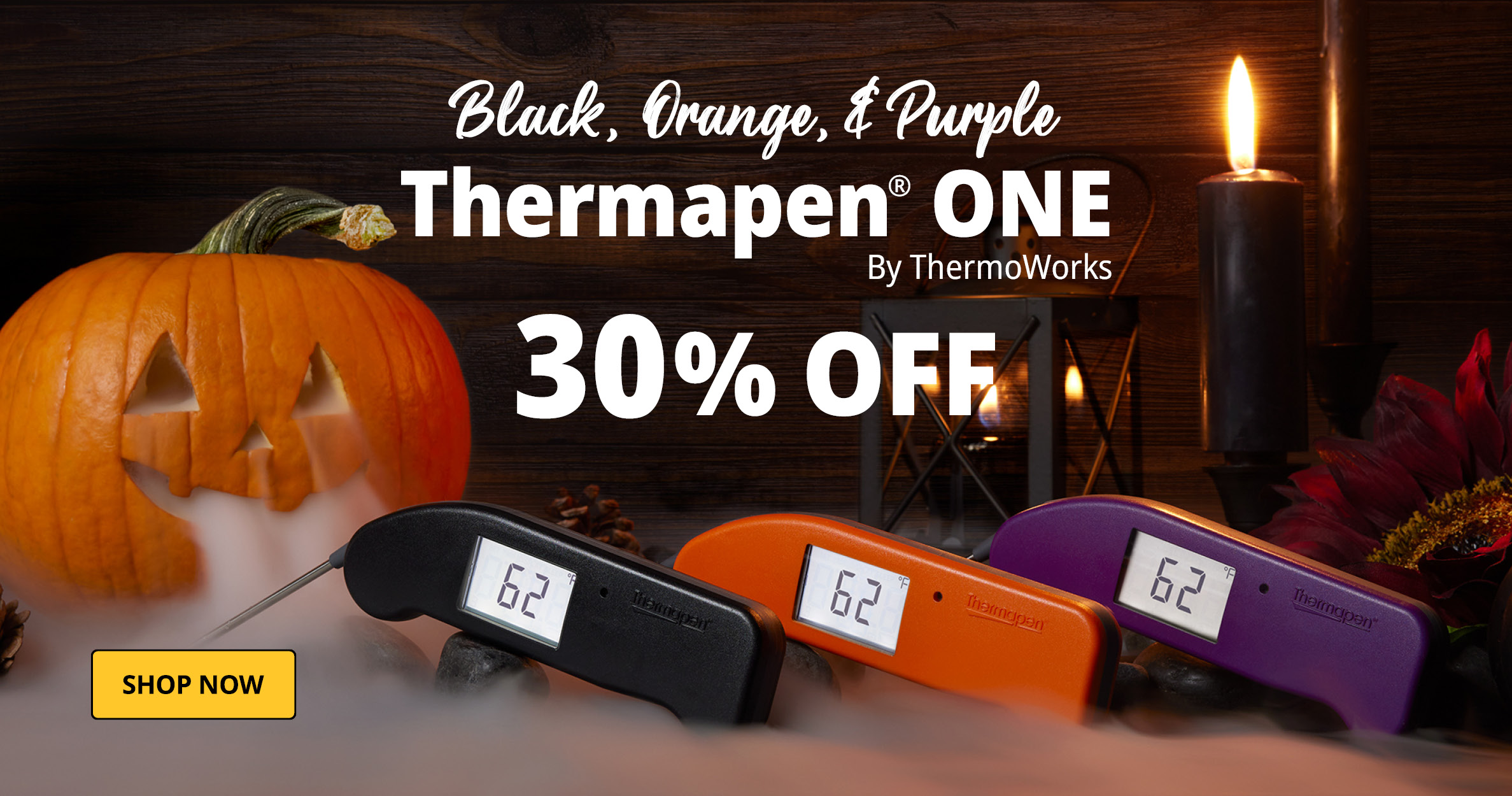 Thermapen ONE