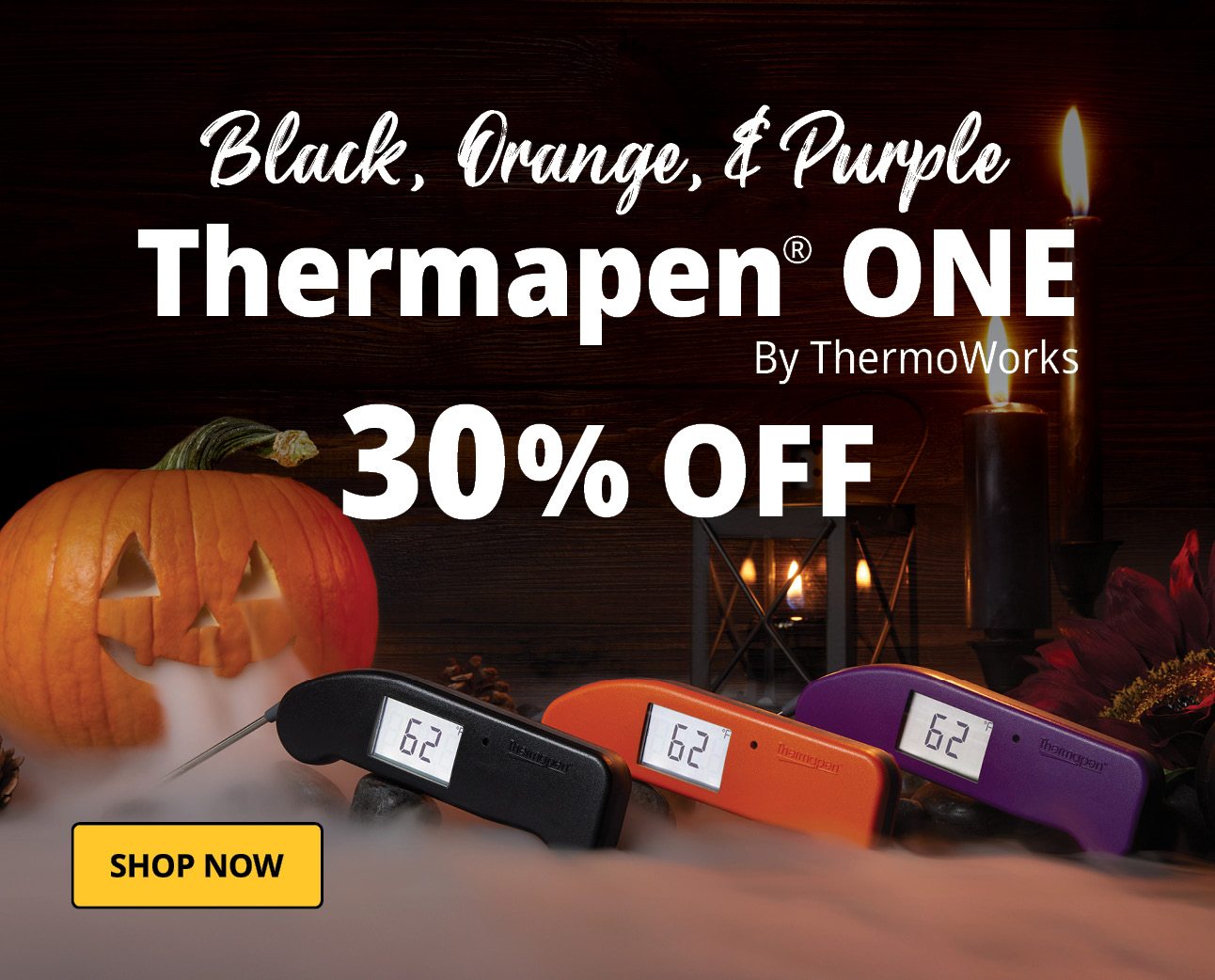 Thermapen ONE