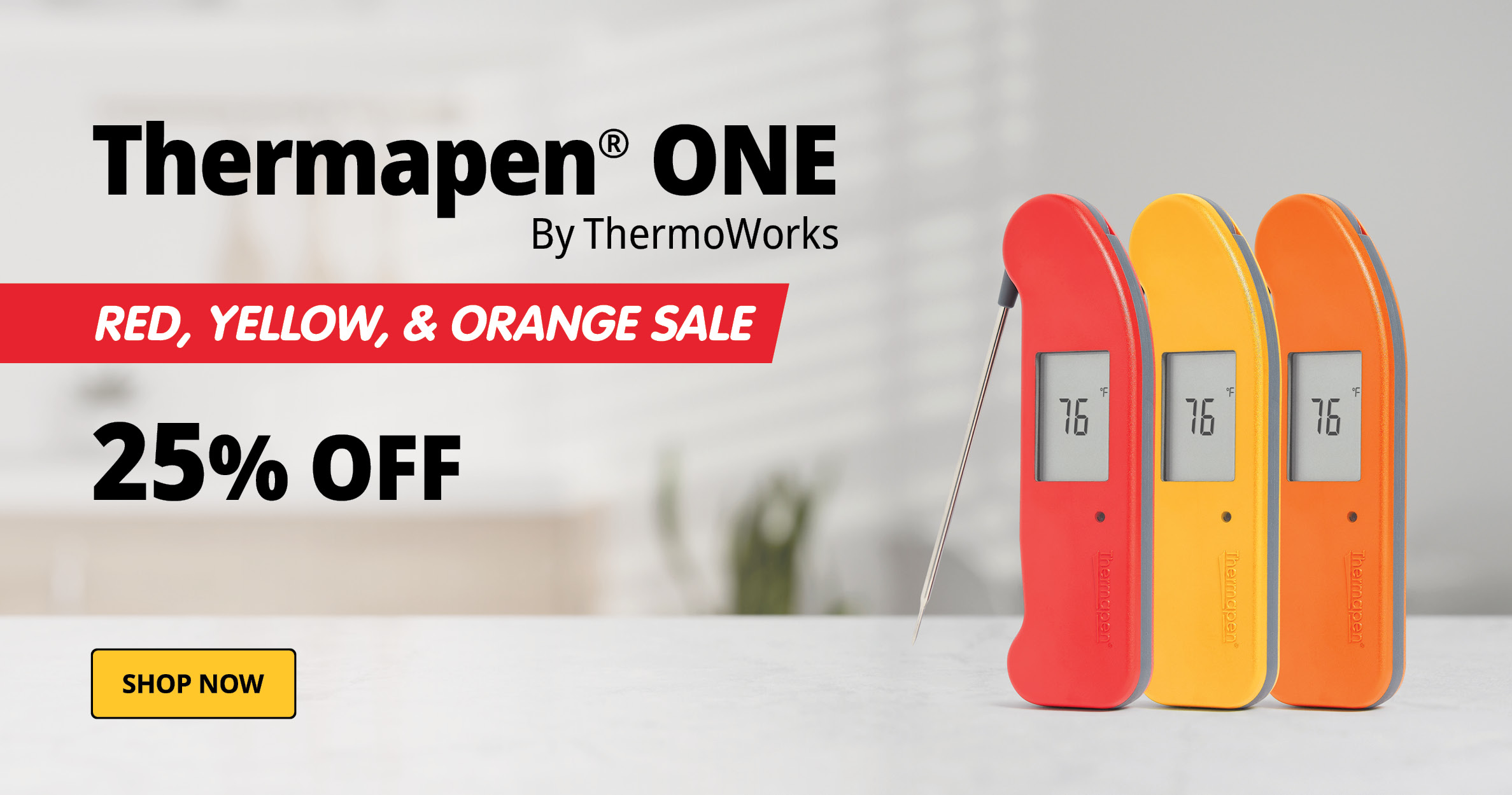 Thermapen ONE