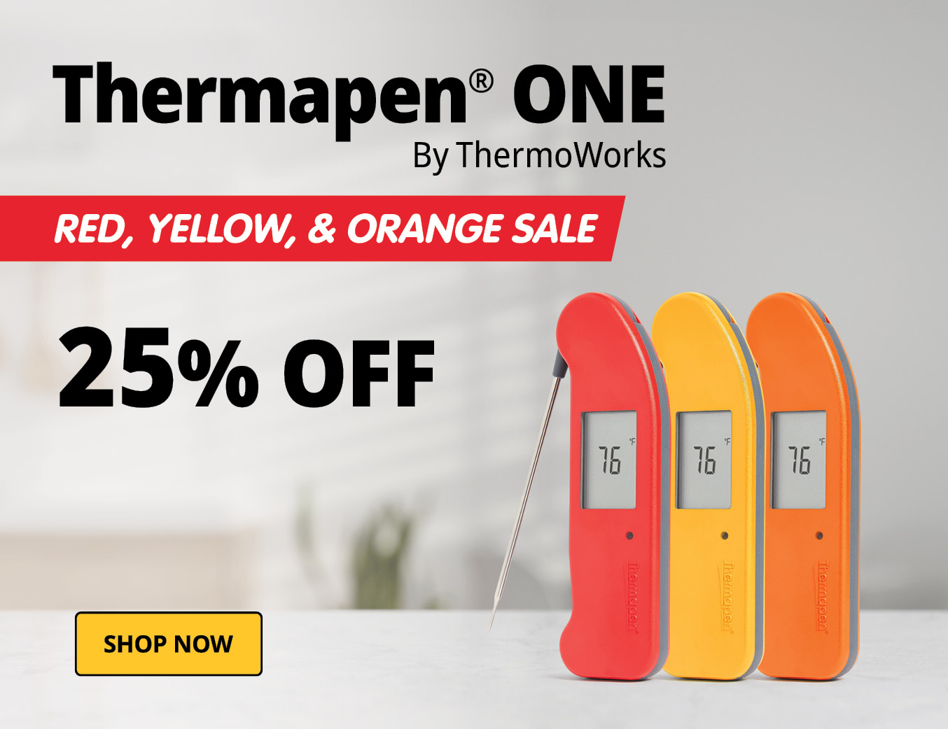 Thermapen ONE