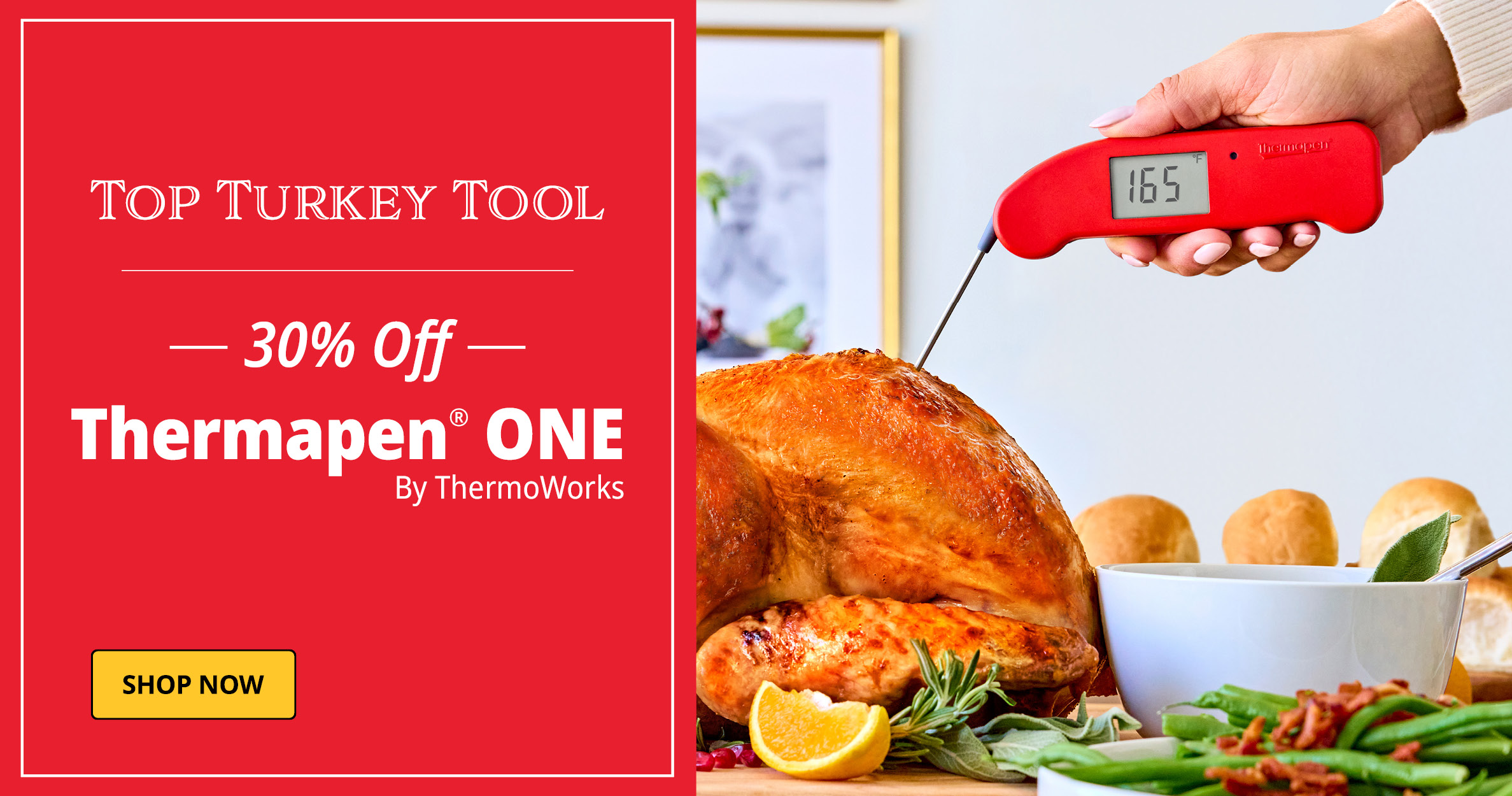 Thermapen ONE