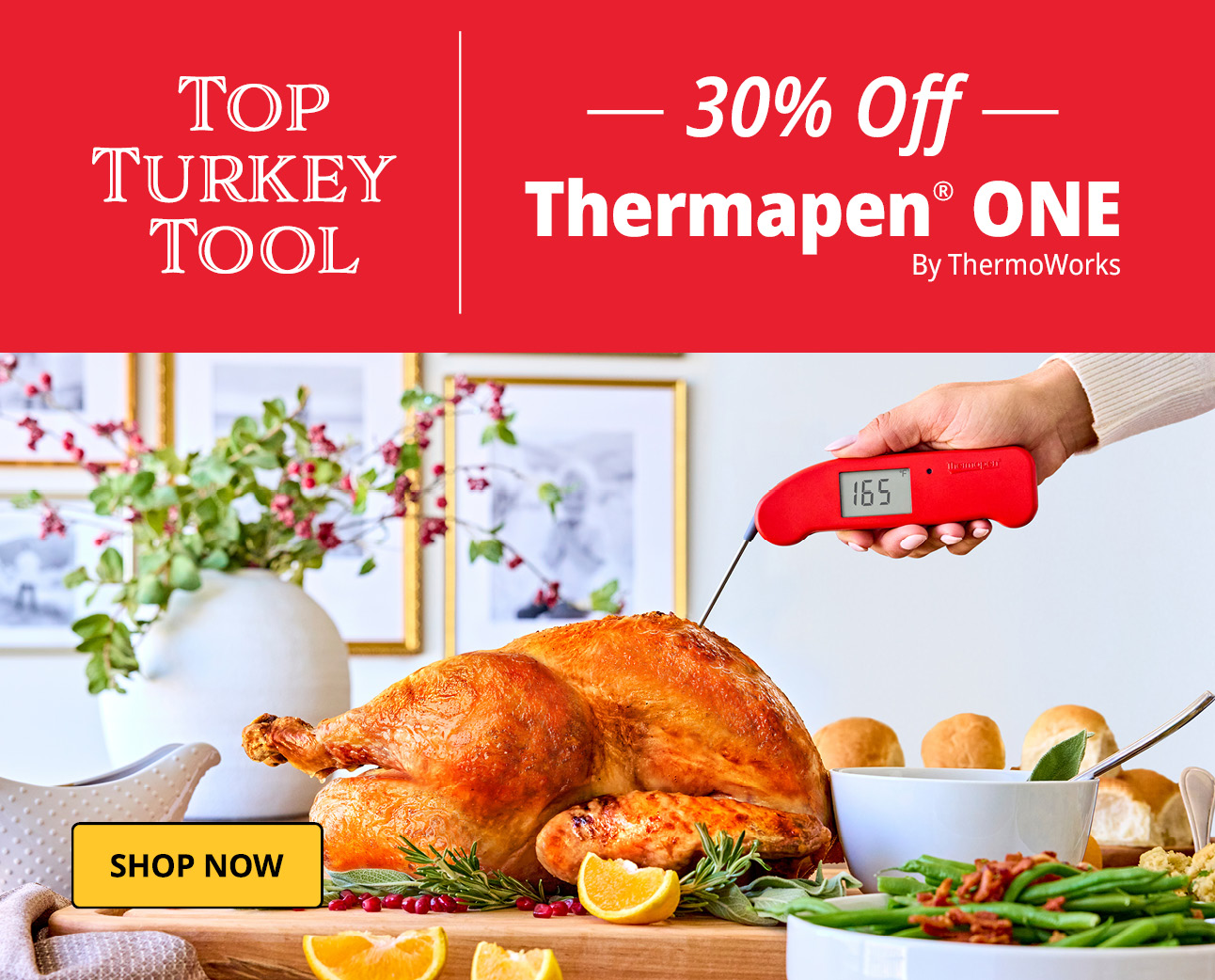 Thermapen ONE